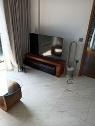 Suites At Orchard (D9), Apartment #566433321